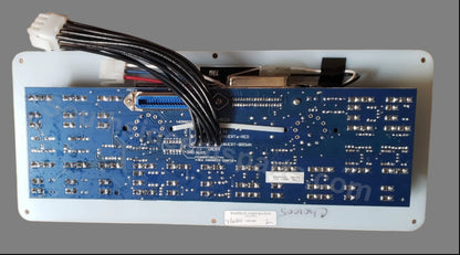 Rear Panel